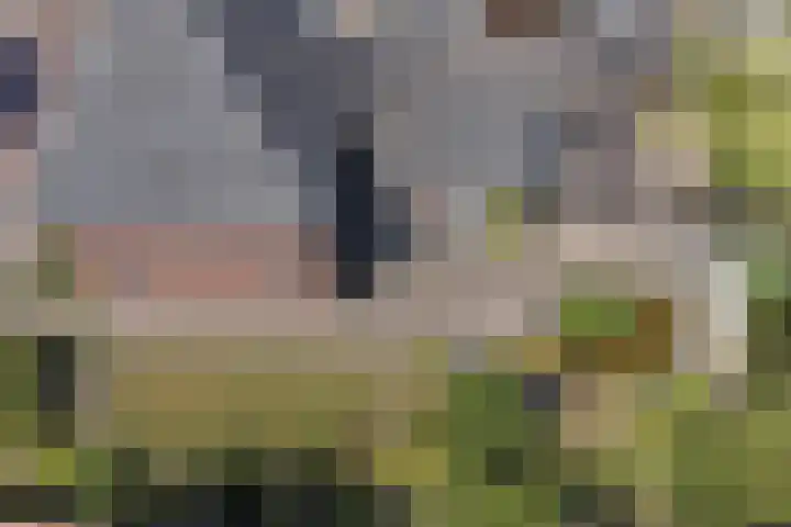 Koestraat 29 Arcen thumbnail 49