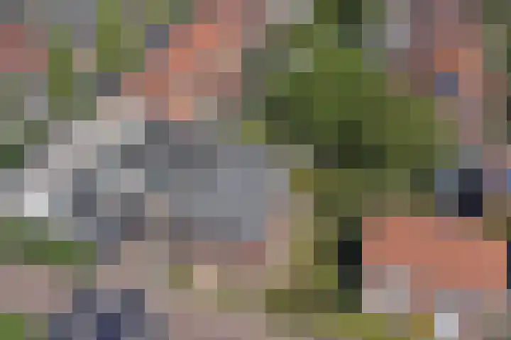 Koestraat 29 Arcen thumbnail 52