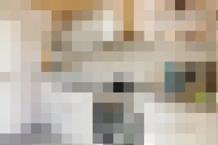 Koestraat 30 Arcen thumbnail 12