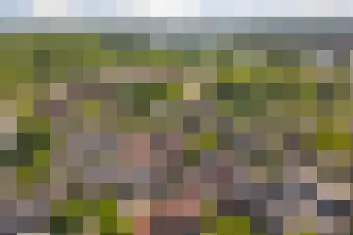 Koestraat 30 Arcen thumbnail 30