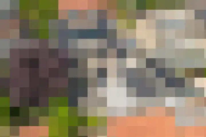 Koestraat 30 Arcen thumbnail 31