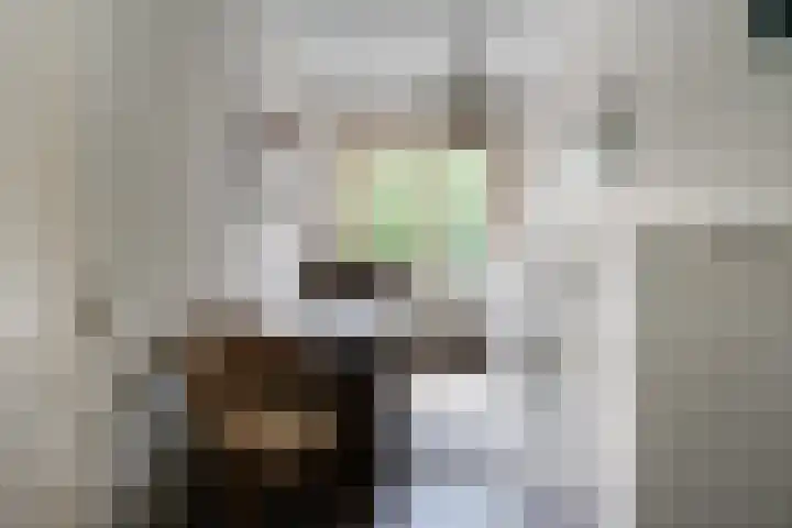 Koestraat 31 Lathum thumbnail 16