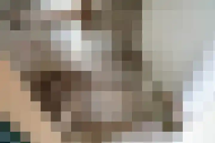 Koestraat 31 Lathum thumbnail 29