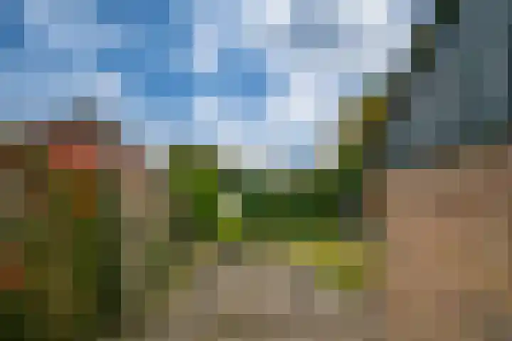 Koestraat 31 Lathum thumbnail 35