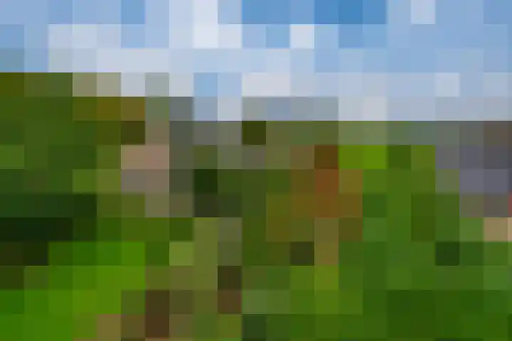 Koestraat 31 Lathum thumbnail 38