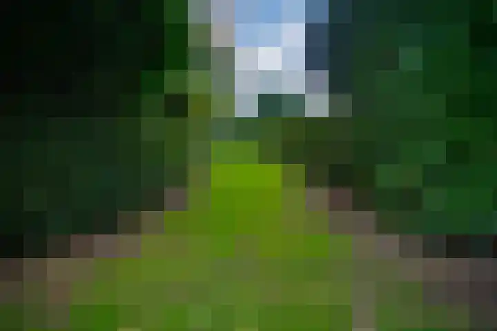 Koestraat 31 Lathum thumbnail 41