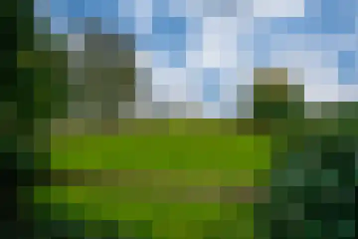 Koestraat 31 Lathum thumbnail 44