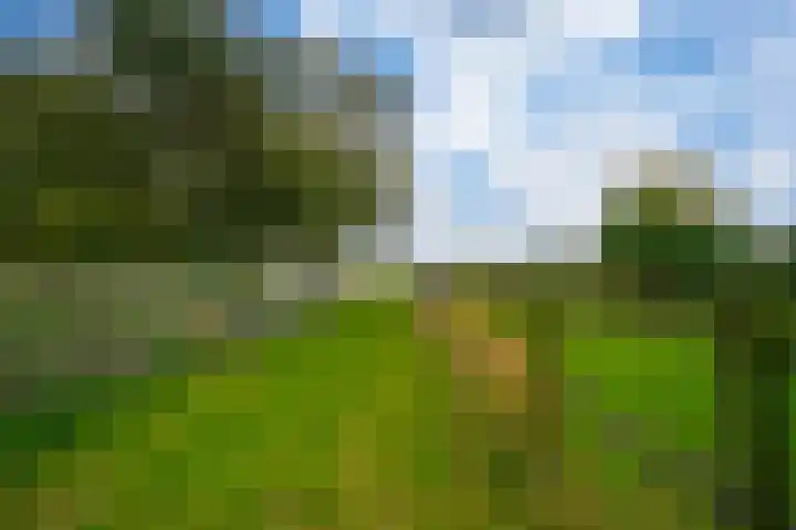 Koestraat 31 Lathum thumbnail 47