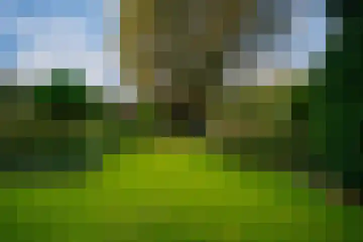 Koestraat 31 Lathum thumbnail 48