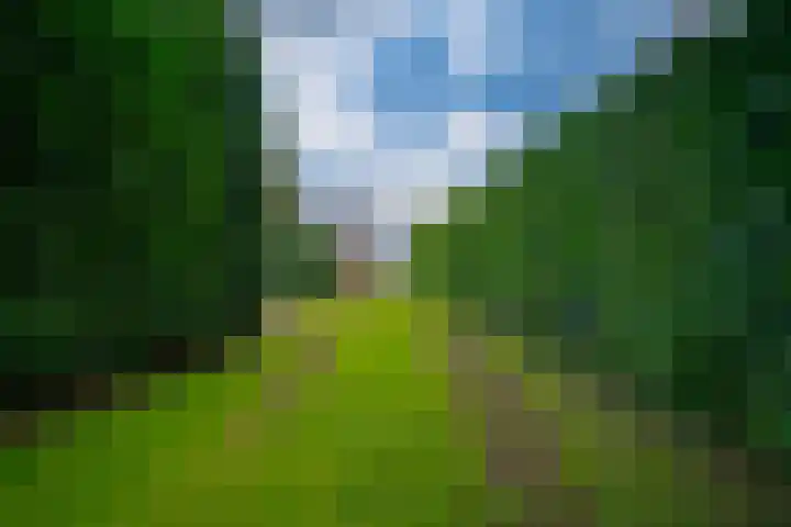 Koestraat 31 Lathum thumbnail 49