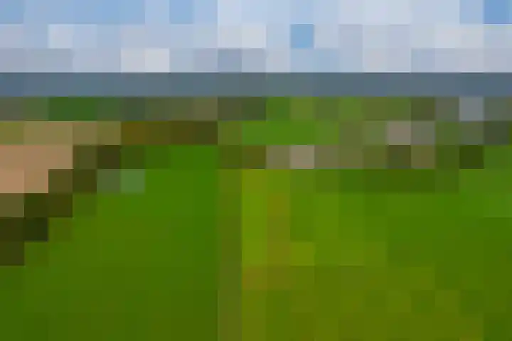 Koestraat 31 Lathum thumbnail 5
