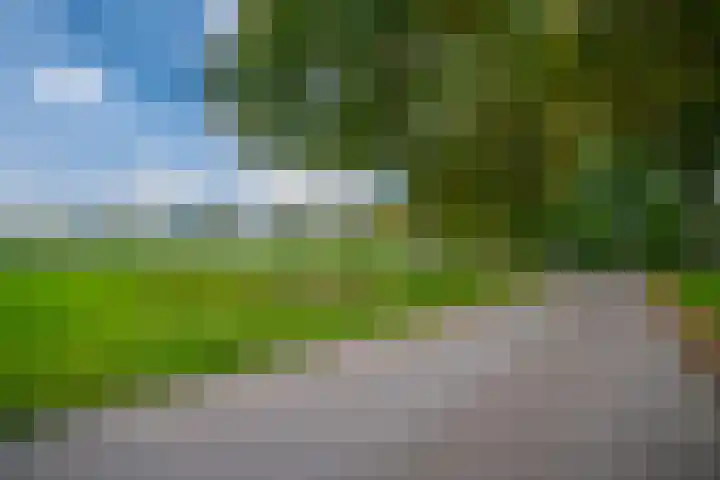 Koestraat 31 Lathum thumbnail 60
