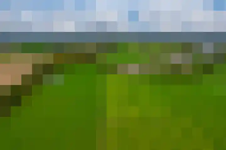 Koestraat 31 Lathum thumbnail 63