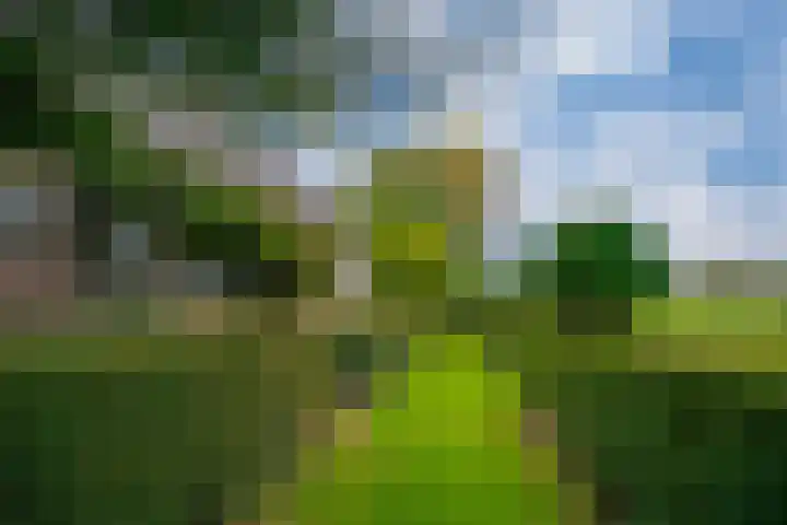 Koestraat 31 Lathum thumbnail 8