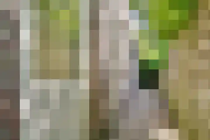 Koestraat 58 Tilburg thumbnail 32