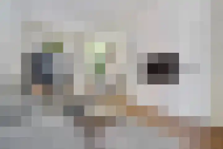 Koestraat 58 Tilburg thumbnail 5