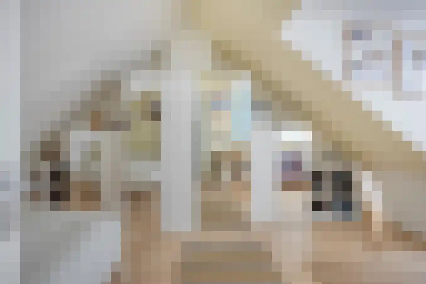 Koestraat 90 Tilburg thumbnail 32