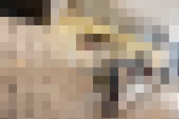 Koetsierbaan 387 Almere thumbnail 13
