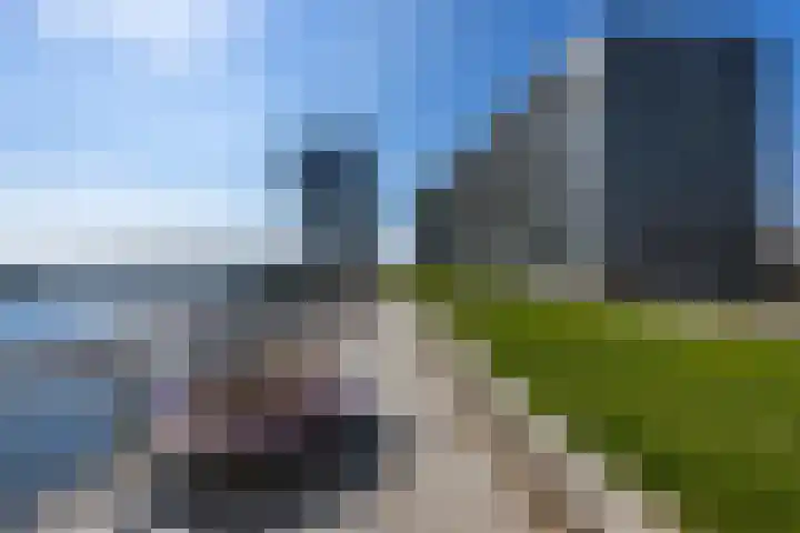 Koetsierbaan 409 Almere thumbnail 13