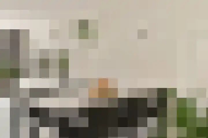 Koetsierstuin 17 Zevenhuizen thumbnail 14