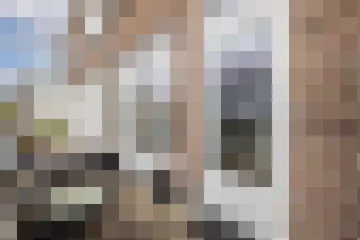 Koetsierstuin 17 Zevenhuizen thumbnail 16