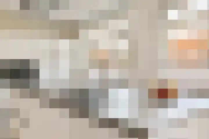 Koetsierstuin 17 Zevenhuizen thumbnail 17
