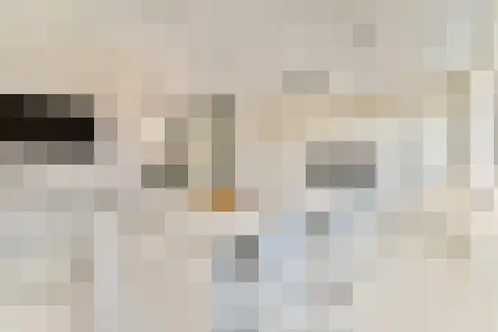 Koetsierstuin 17 Zevenhuizen thumbnail 18
