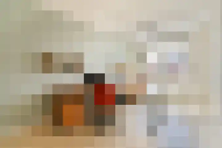 Koetsierstuin 17 Zevenhuizen thumbnail 20