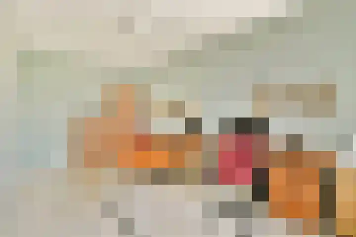 Koetsierstuin 17 Zevenhuizen thumbnail 21