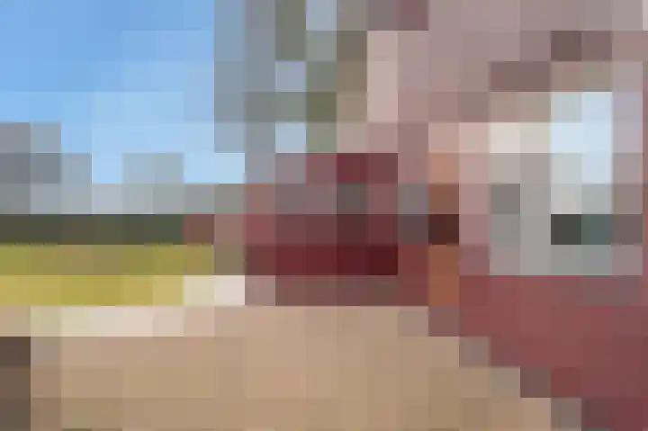 Koetsierstuin 17 Zevenhuizen thumbnail 25
