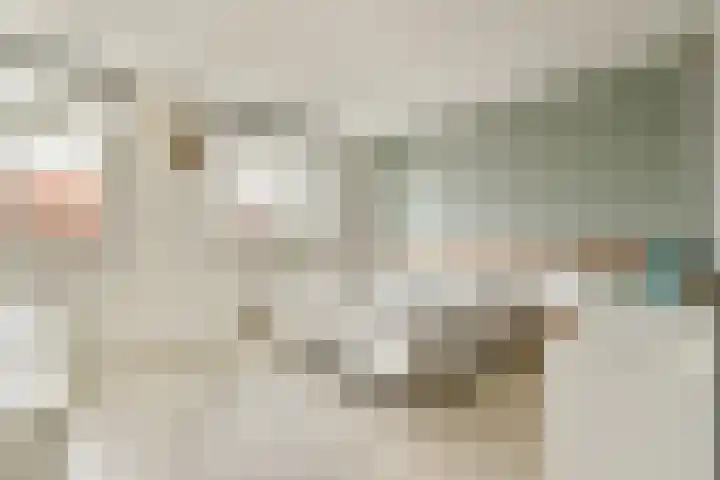 Koetsierstuin 17 Zevenhuizen thumbnail 27