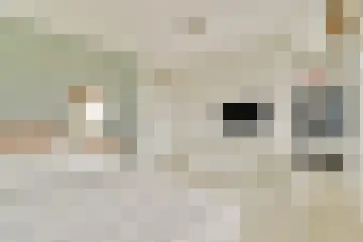 Koetsierstuin 17 Zevenhuizen thumbnail 28