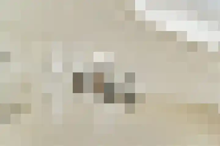Koetsierstuin 17 Zevenhuizen thumbnail 30