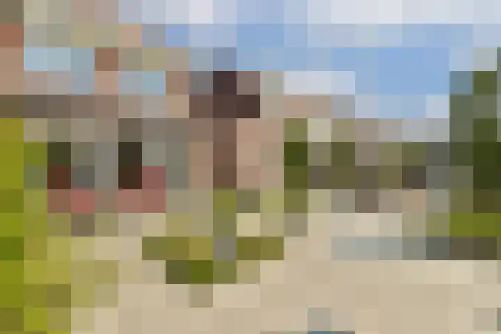 Koetsierstuin 17 Zevenhuizen thumbnail 33