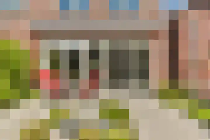 Koetsierstuin 17 Zevenhuizen thumbnail 34