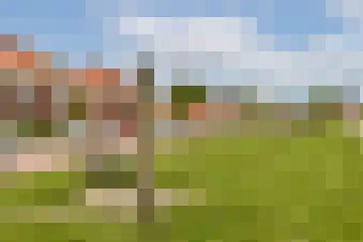 Koetsierstuin 17 Zevenhuizen thumbnail 37