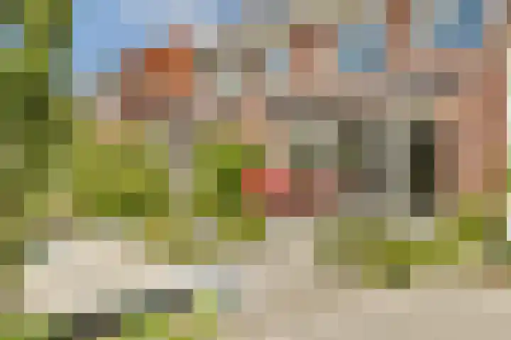 Koetsierstuin 17 Zevenhuizen thumbnail 4