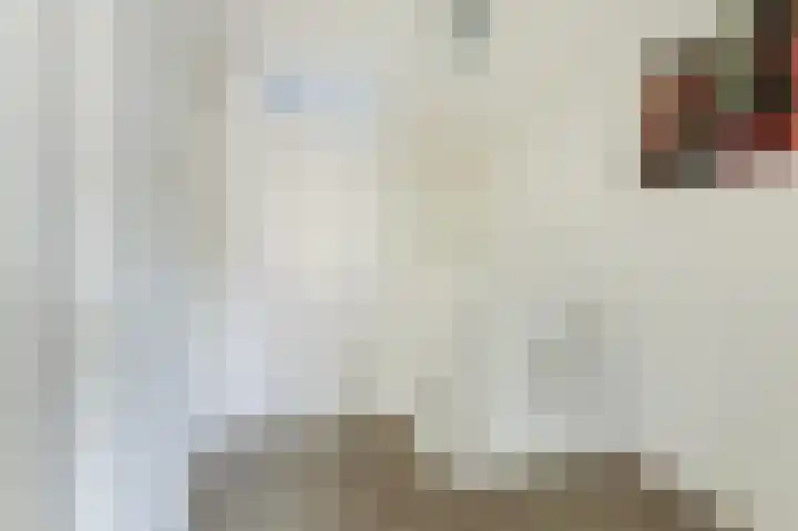 Koetsierstuin 17 Zevenhuizen thumbnail 40