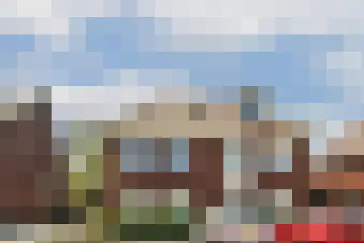 Koetsierstuin 17 Zevenhuizen thumbnail 42