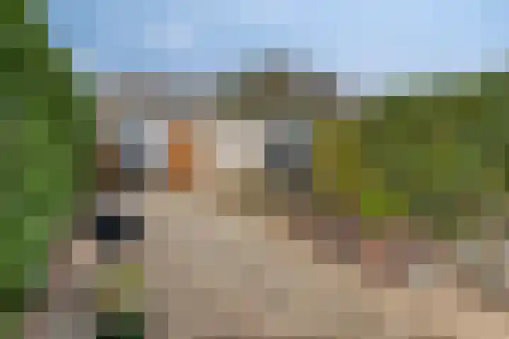 Koetsierstuin 17 Zevenhuizen thumbnail 6