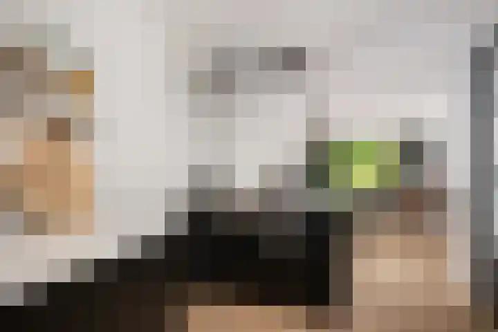 Koetsierstuin 20 Zevenhuizen thumbnail 13