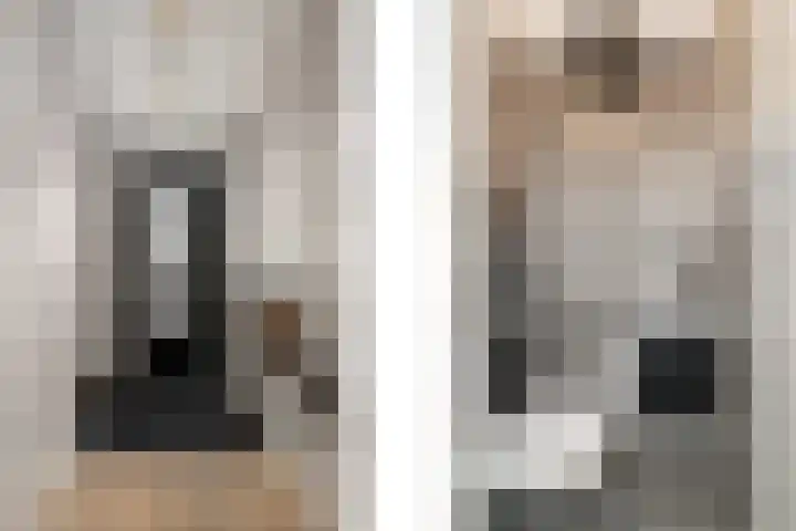 Koetsierstuin 20 Zevenhuizen thumbnail 14