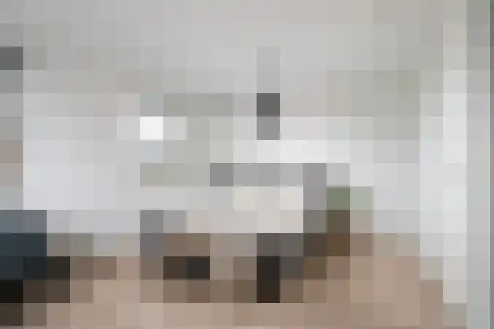 Koetsierstuin 20 Zevenhuizen thumbnail 15
