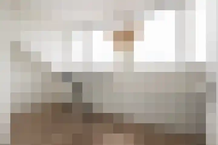Koetsierstuin 20 Zevenhuizen thumbnail 23