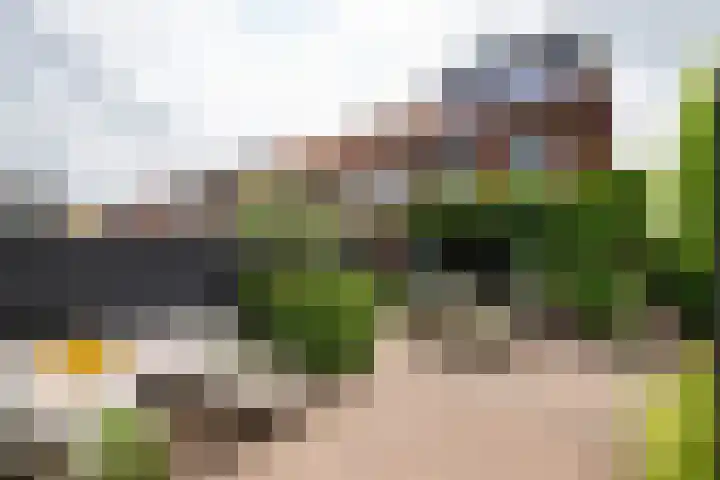 Koetsierstuin 20 Zevenhuizen thumbnail 34