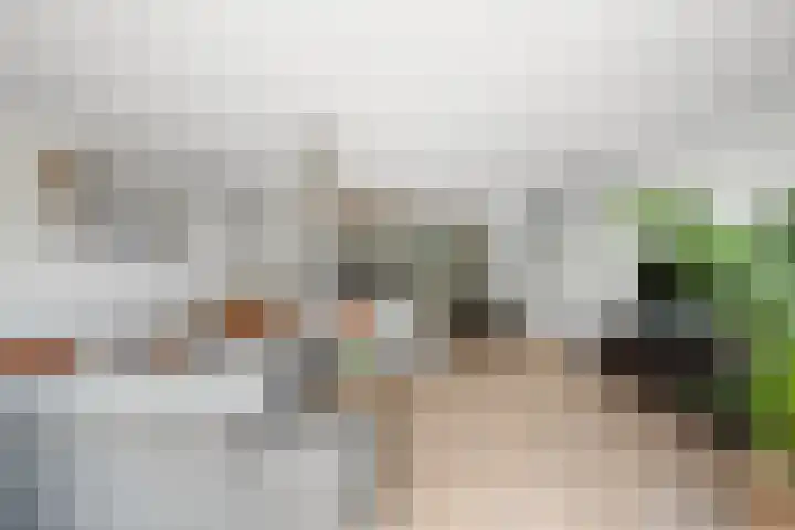 Koetsierstuin 20 Zevenhuizen thumbnail 8