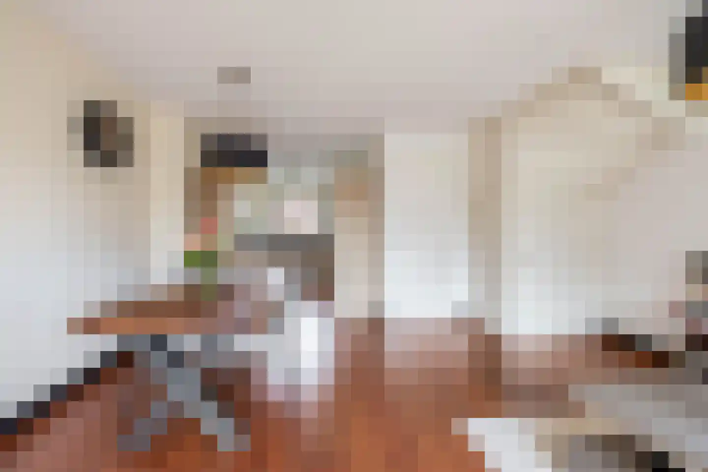 Koetsierstuin 6 Zevenhuizen thumbnail 10