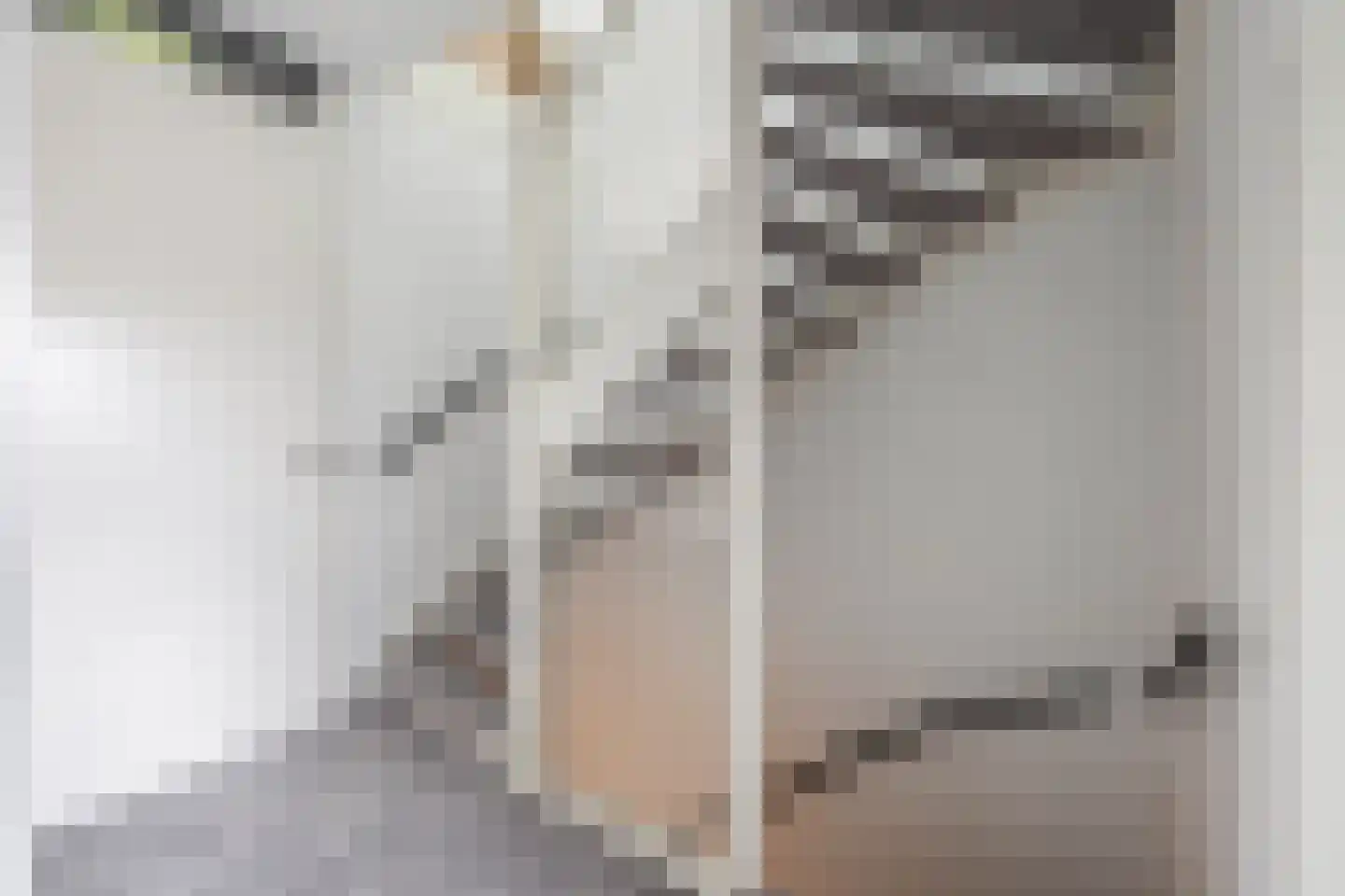 Koetsierstuin 6 Zevenhuizen thumbnail 14