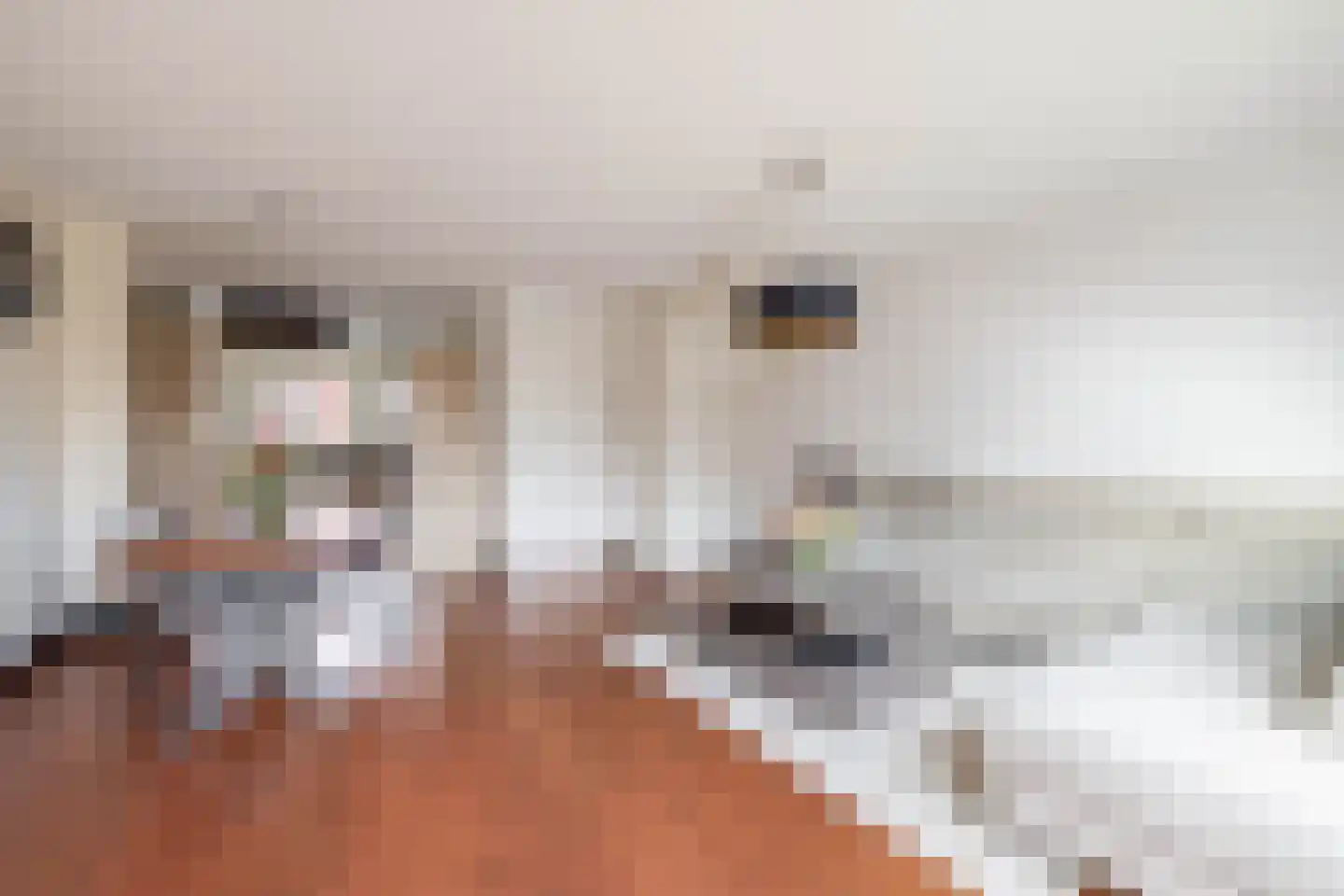 Koetsierstuin 6 Zevenhuizen thumbnail 9