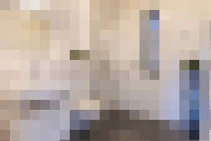 Koetsierwaard 8 Arnhem thumbnail 23